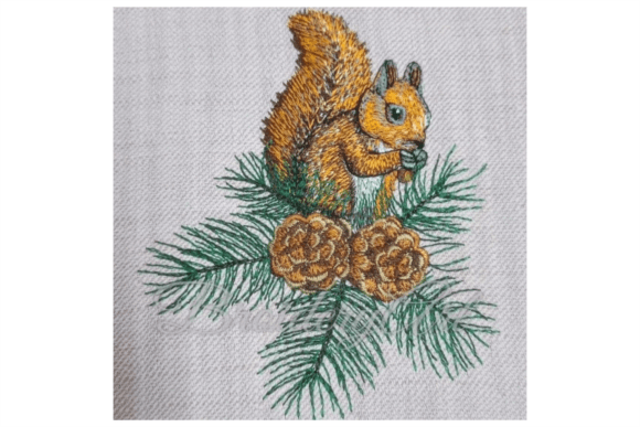 Cones Twigs and a Squirrel: A Designer Review